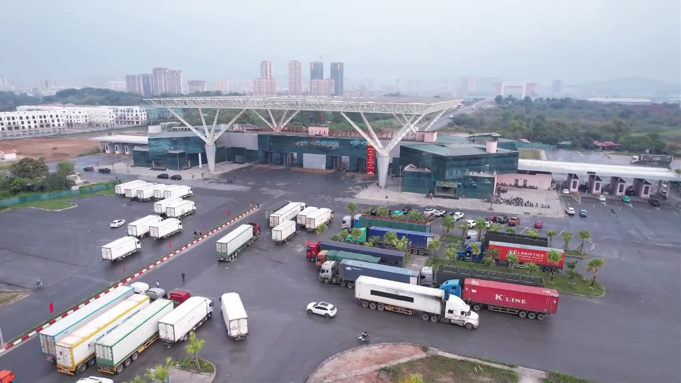 Cách nào gỡ điểm nghẽn cửa khẩu, logistics Quảng Ninh?- Ảnh 1.