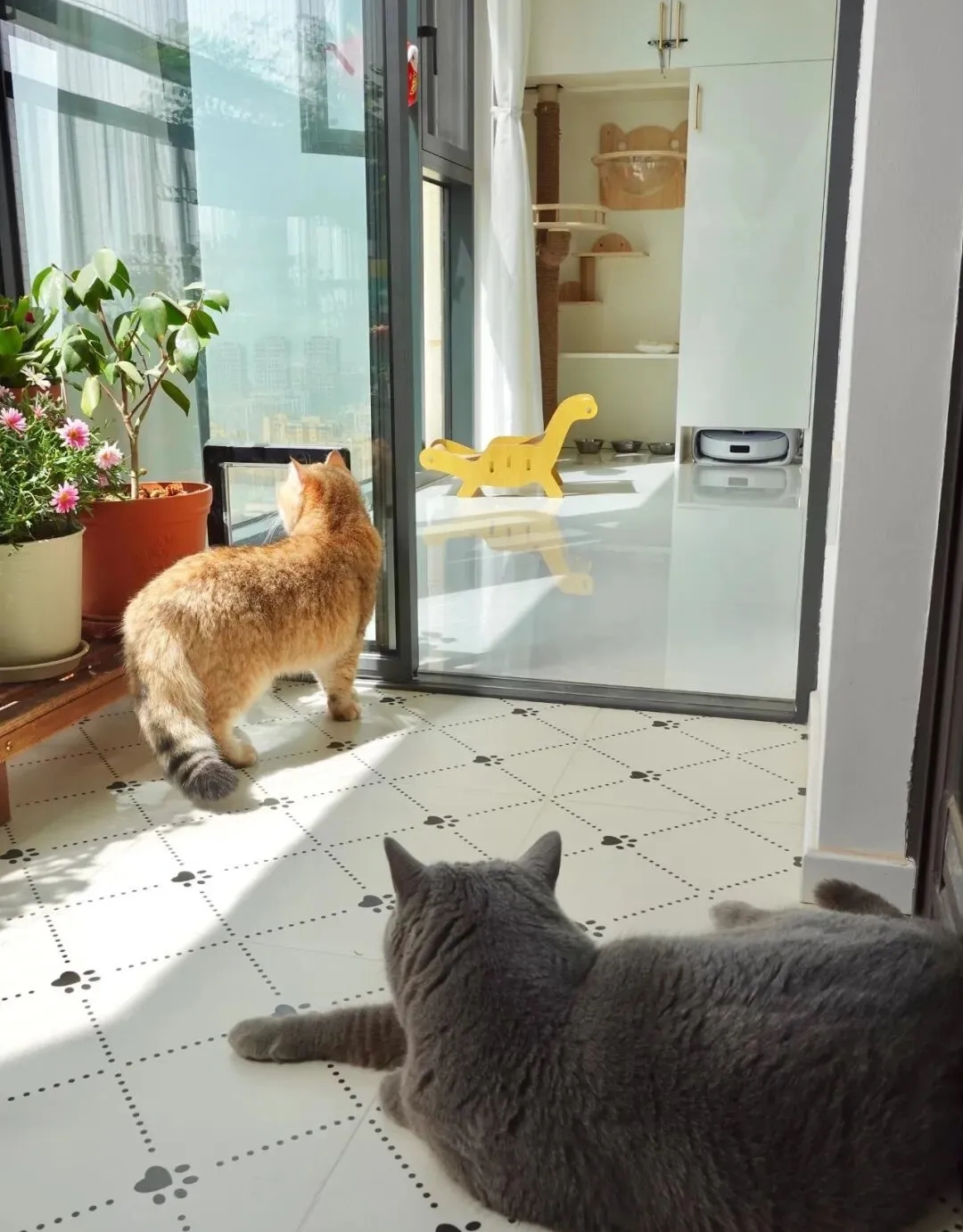 Cải tạo ban công 8m2 quá vi diệu, cái kết khiến hàng xóm cũng muốn "bắt chước"- Ảnh 5.