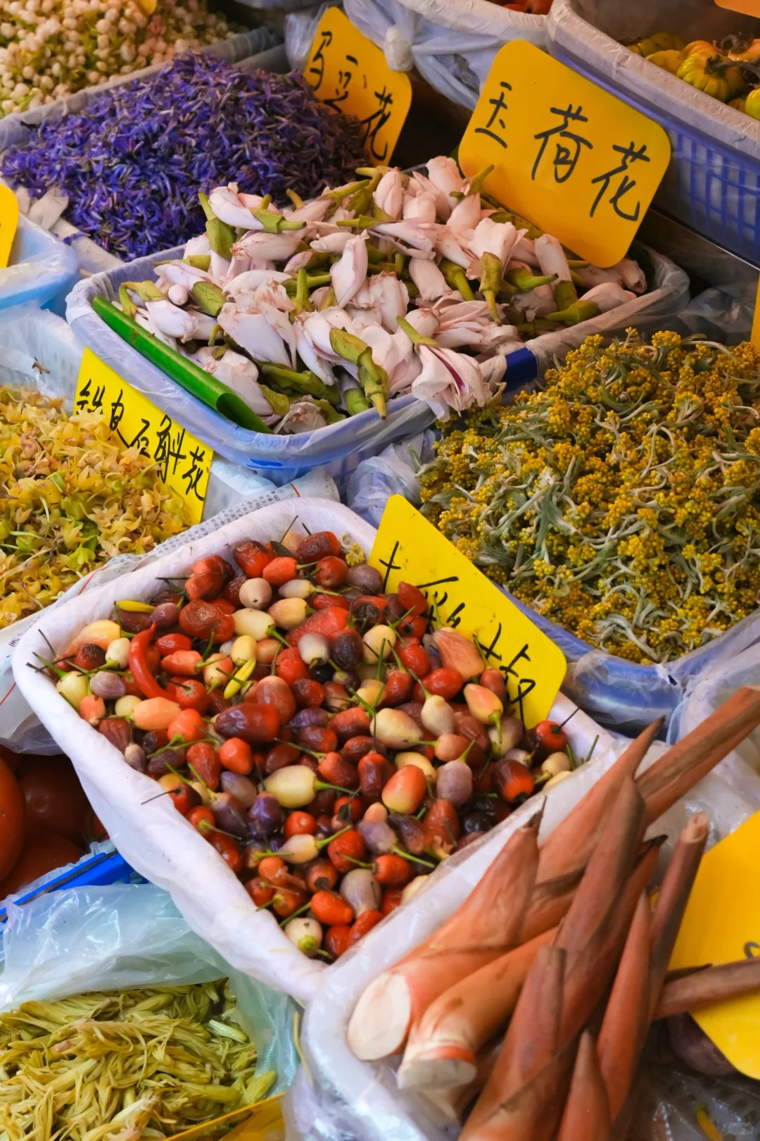 Đi chợ nông sản đâu chỉ mua rau, ấy là cuộc "đổi chác" lấy sinh khí mộc mạc, đủ sức chữa lành vạn bộn bề- Ảnh 8.