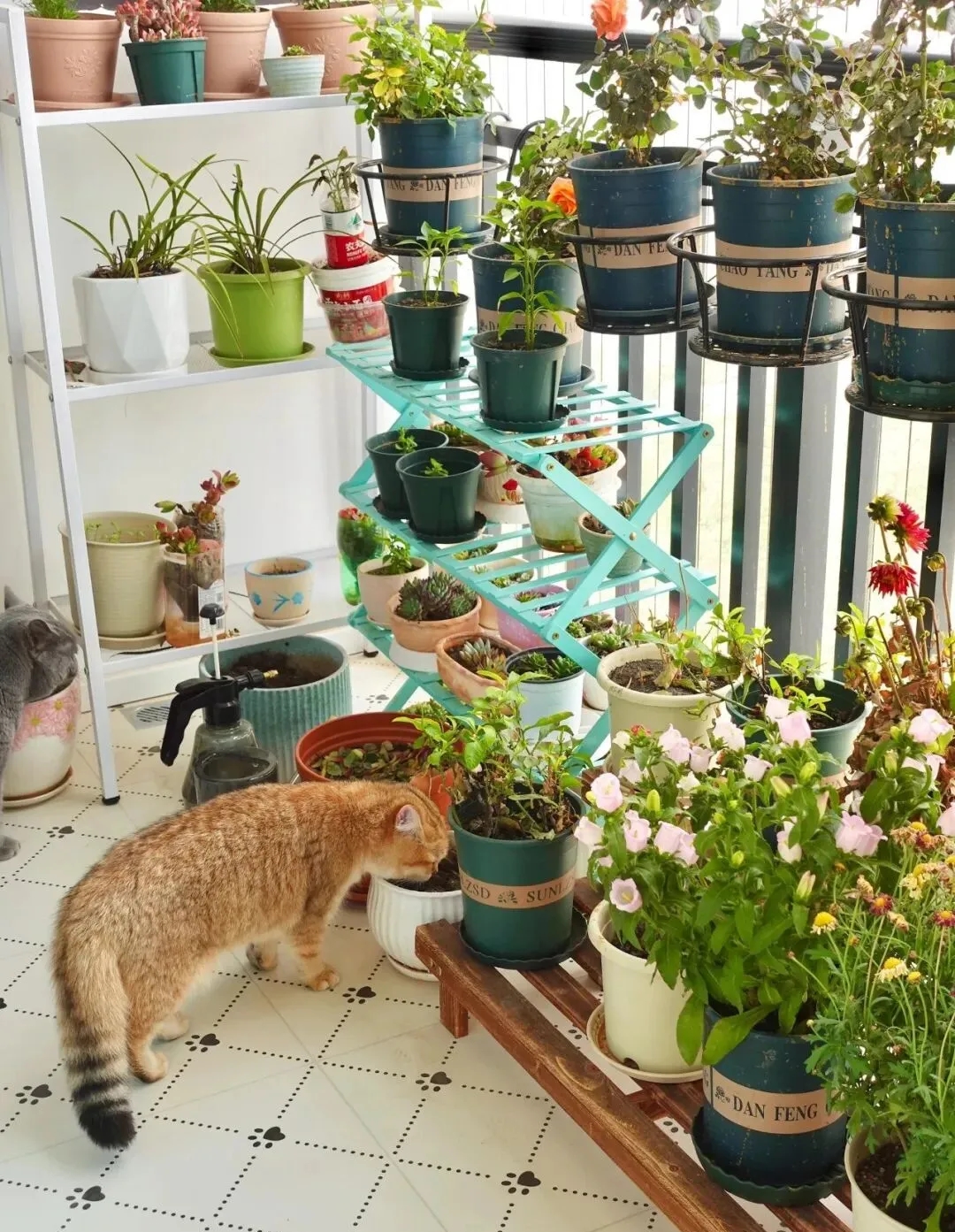 Cải tạo ban công 8m2 quá vi diệu, cái kết khiến hàng xóm cũng muốn "bắt chước"- Ảnh 6.