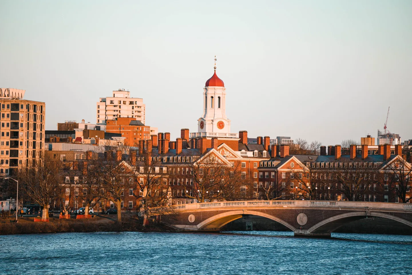 Harvard vs MIT: Trường nào khó vào hơn? - Ảnh 1.