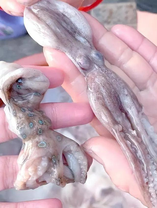 Những "thực phẩm" chứa độc tố chết người không có thuốc giải, đun nóng tới 120 độ C cũng không có tác dụng- Ảnh 2.