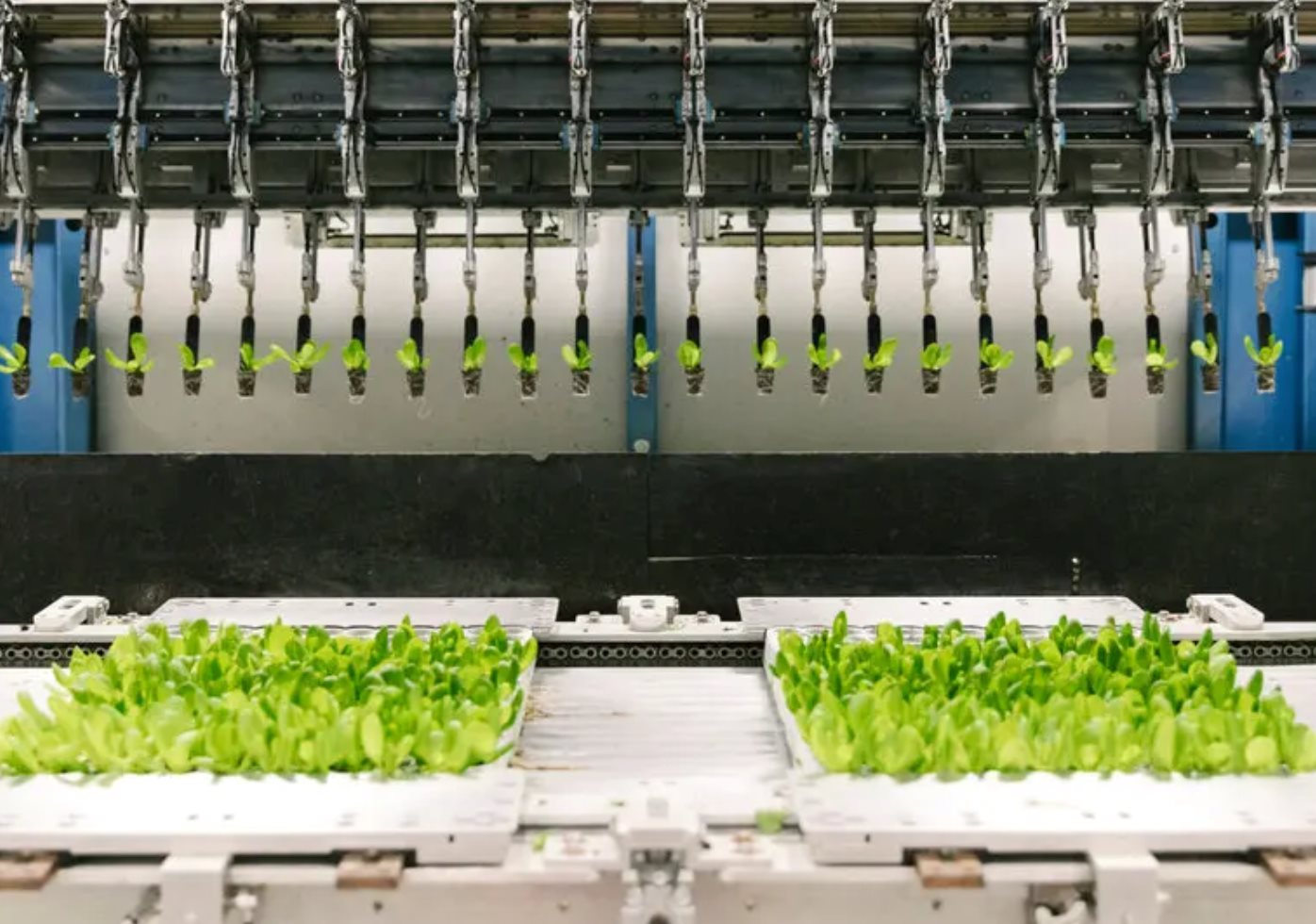 Cú rơi của những 'kỳ lân xanh': Phá sản dù từng huy động hàng trăm triệu USD, số công ty sống sót chỉ còn phân nửa- Ảnh 1.