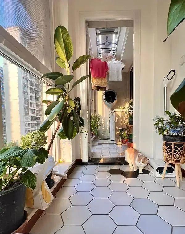 Cải tạo ban công 8m2 quá vi diệu, cái kết khiến hàng xóm cũng muốn "bắt chước"- Ảnh 7.