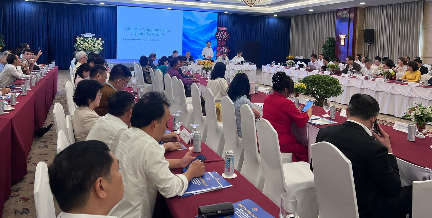 25 tỷ USD từ đâu sắp 'rót' vào Gia Lai?- Ảnh 1.