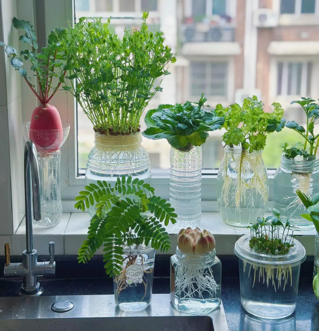 Tưởng là keo kiệt, nhưng 10 thói quen của người dì 60 tuổi lại giúp bà không bao giờ áp lực tiền bạc- Ảnh 7.