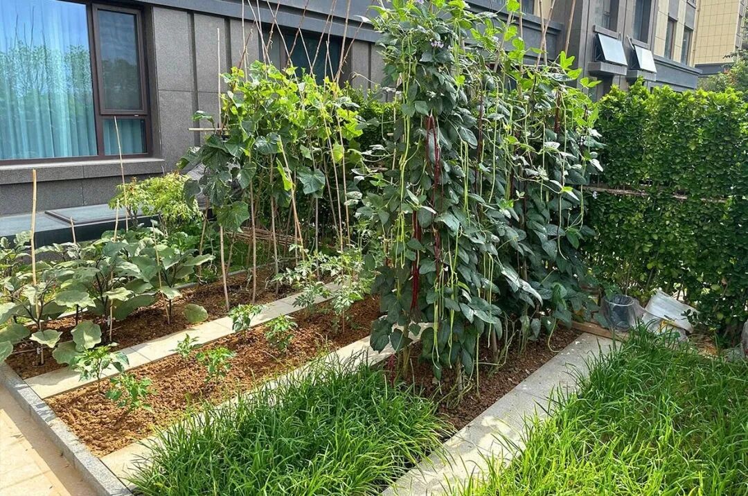 Tưởng là keo kiệt, nhưng 10 thói quen của người dì 60 tuổi lại giúp bà không bao giờ áp lực tiền bạc- Ảnh 1.