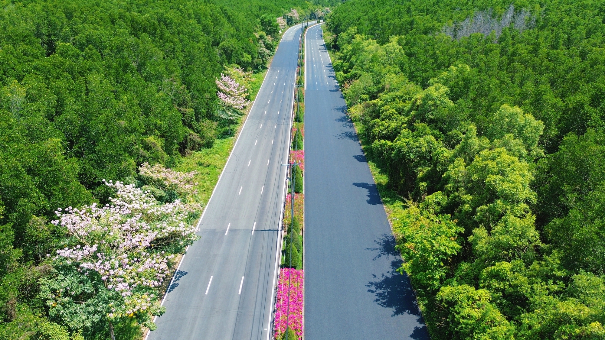 Một tuyến đường đang "đốn tim" giới trẻ TPHCM - Ảnh 11.