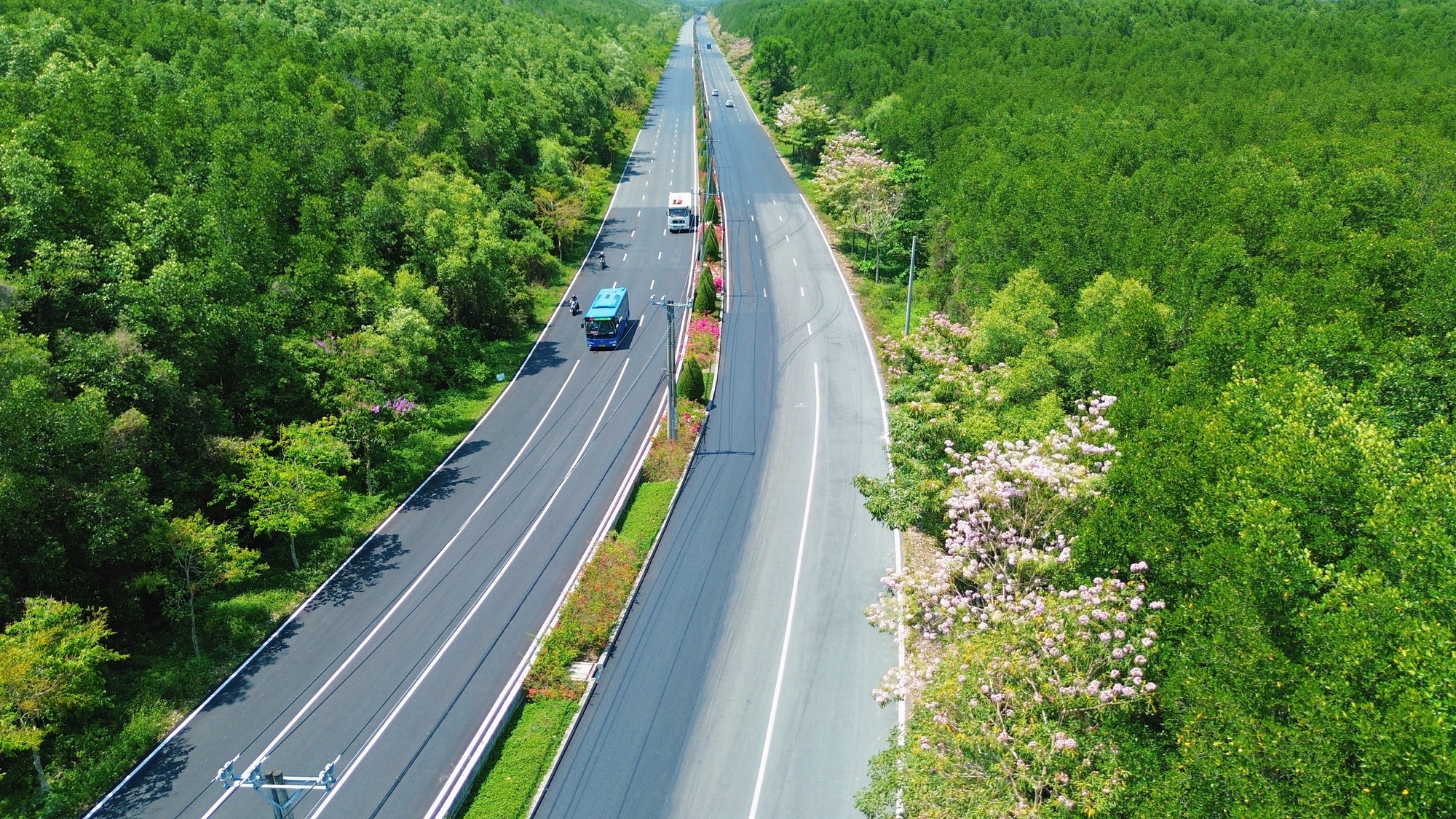 Một tuyến đường đang "đốn tim" giới trẻ TPHCM - Ảnh 10.