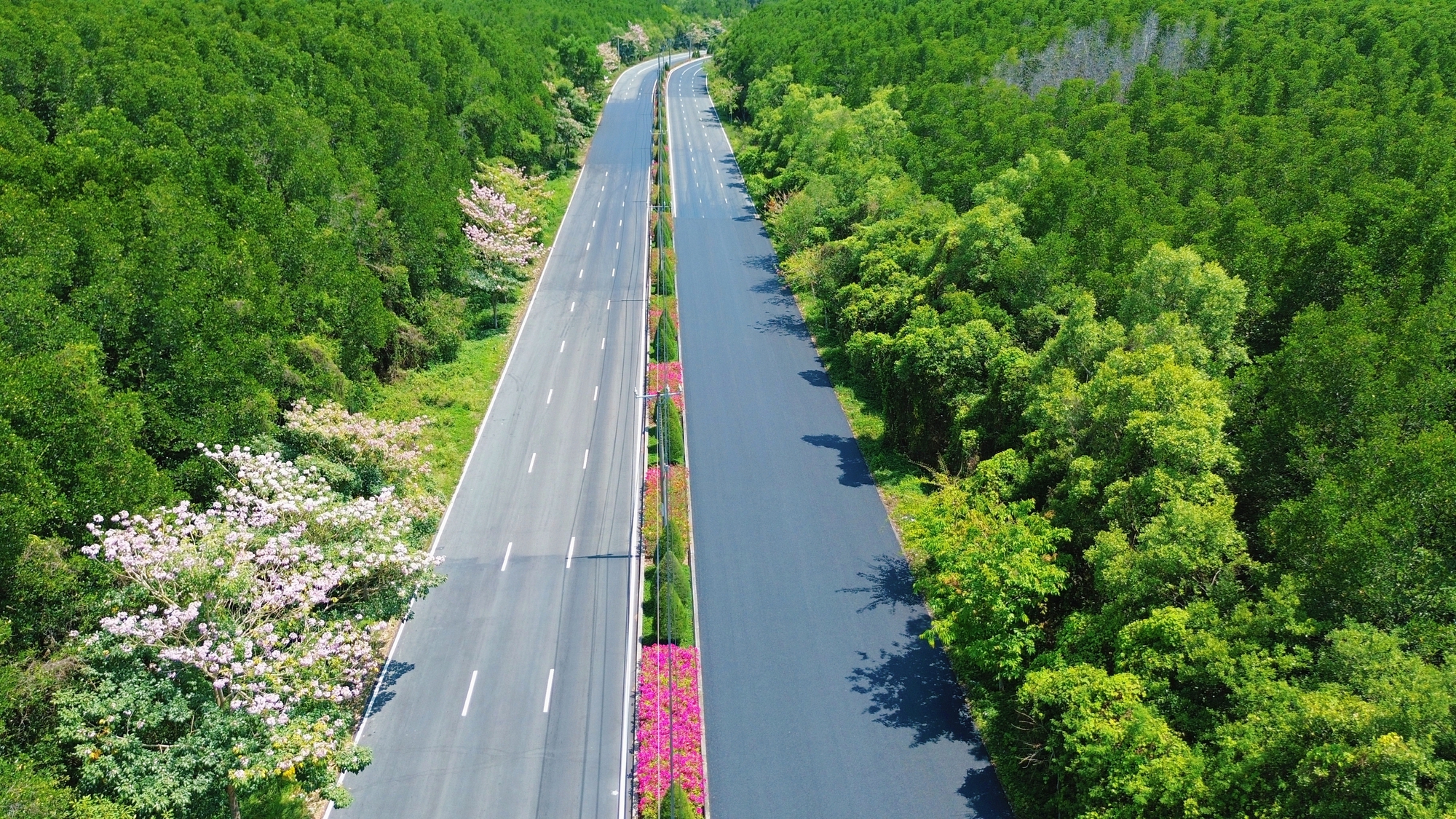 Một tuyến đường đang "đốn tim" giới trẻ TPHCM - Ảnh 8.