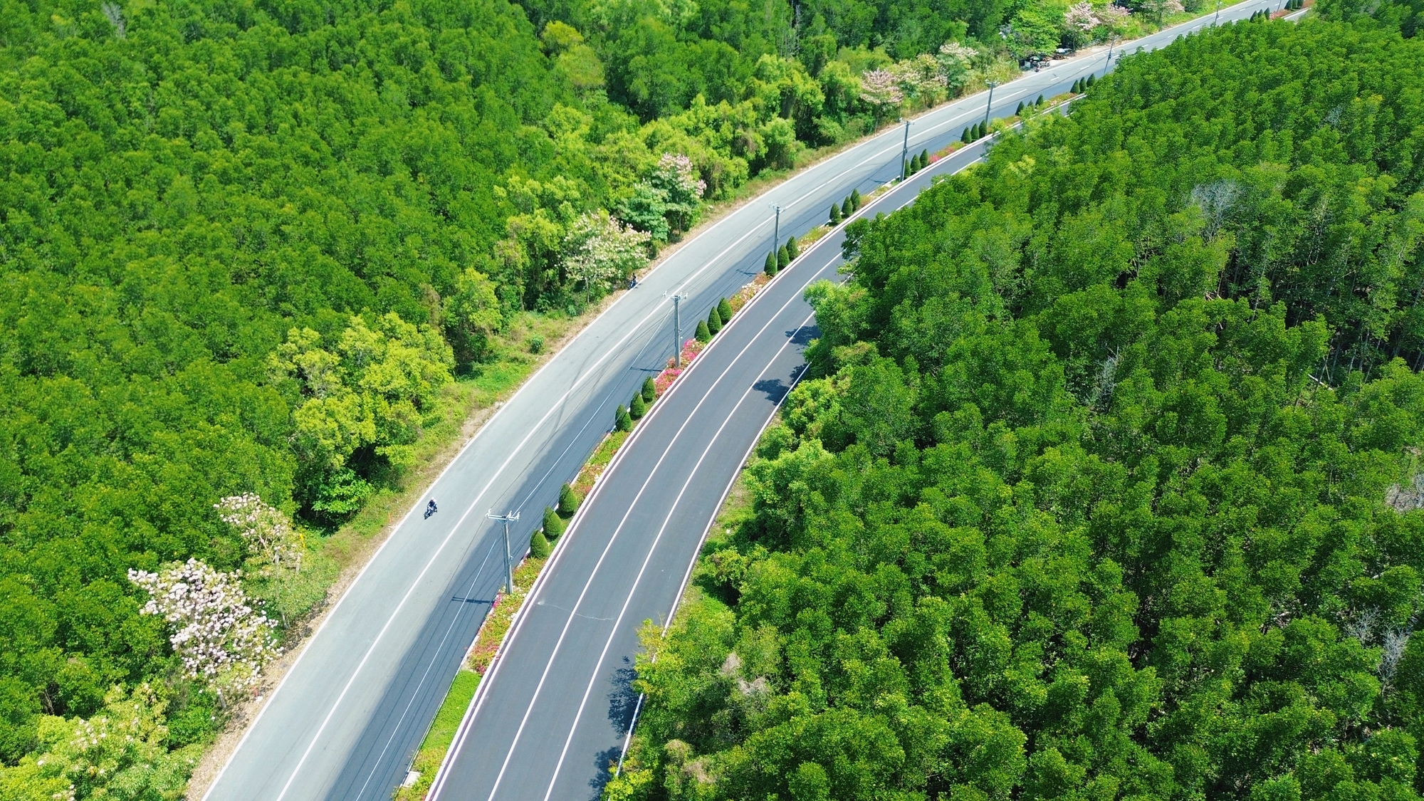 Một tuyến đường đang "đốn tim" giới trẻ TPHCM - Ảnh 7.