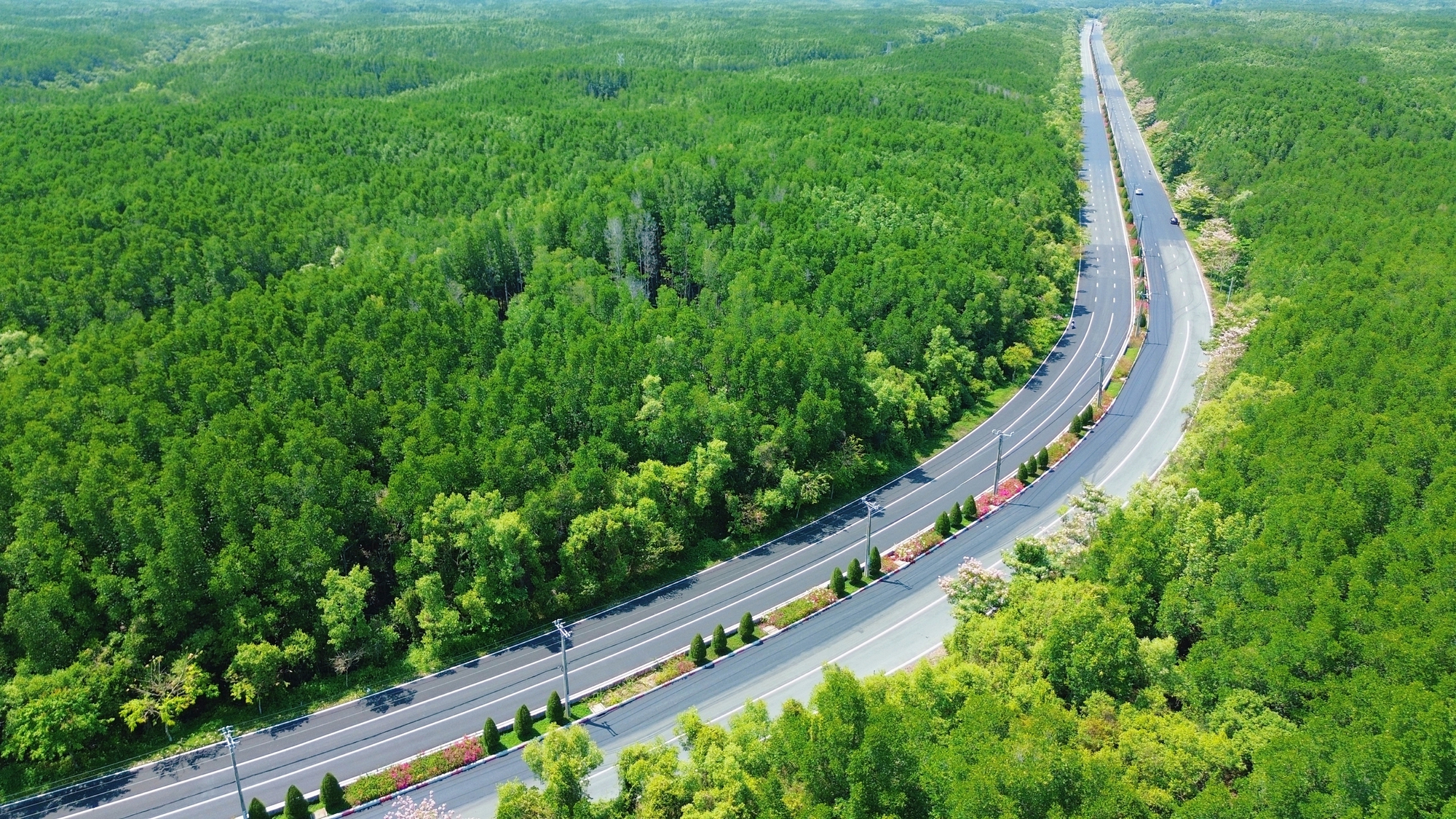 Một tuyến đường đang "đốn tim" giới trẻ TPHCM - Ảnh 3.