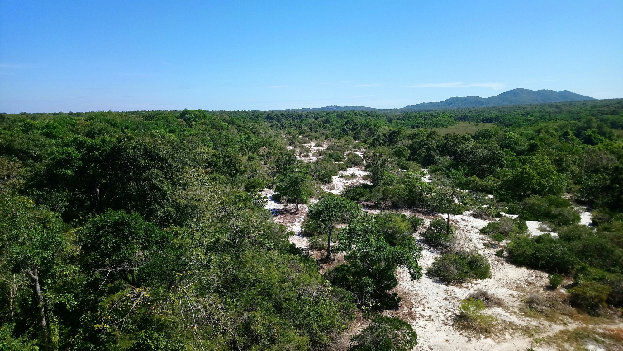 Làm rõ nguyên nhân giảm hơn 17.700 ha rừng tự nhiên ở Lâm Đồng- Ảnh 1.