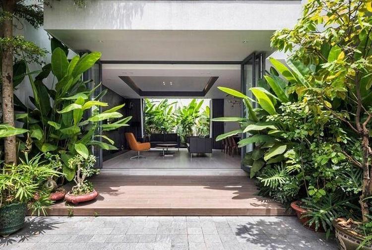 3 loại cây đừng trồng trước hiên nhà: Dễ mang vận xui và hao tài- Ảnh 1.