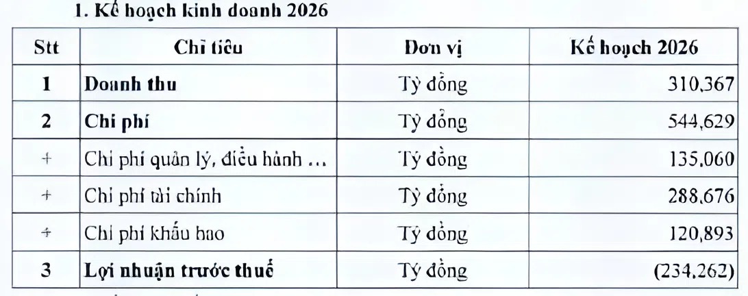 Cảng Phước An dự kiến lỗ trước thuế hơn 234 tỷ đồng năm 2026 - Ảnh 1.
