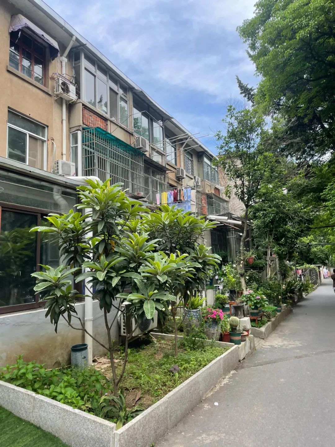 Bất chấp lời can ngăn, tôi mua căn hộ tầng 1 cũ kỹ không ai muốn: Sau 1 năm sống, tôi hiểu vì sao nó bị chê - Ảnh 5.