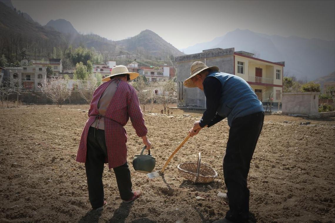 Tôi chi hơn 1 tỷ mua nhà cho bố mẹ ở tuổi già - 6 tháng sau mới hiểu: Hiếu thảo sai cách có thể khiến cả nhà tốn tiền lẫn sức khỏe - Ảnh 4.