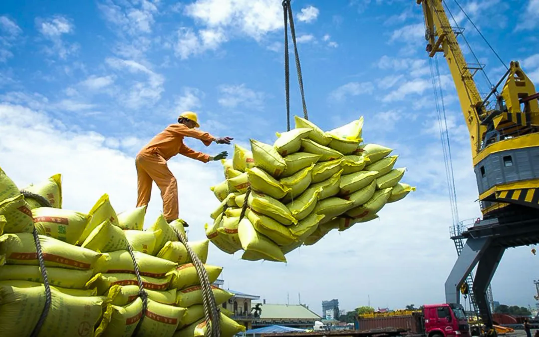 Xuất khẩu gạo của Việt Nam sang Senegal tăng gần 30 lần - Ảnh 1.