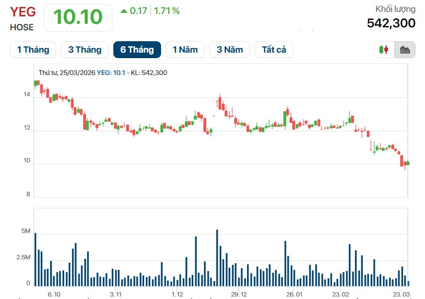 Kẹt gần nửa nghìn tỷ công nợ, vì sao YeaH1 (YEG) vẫn quyết đầu tư 430 tỷ cho đối tác ở Đà Nẵng?- Ảnh 3.