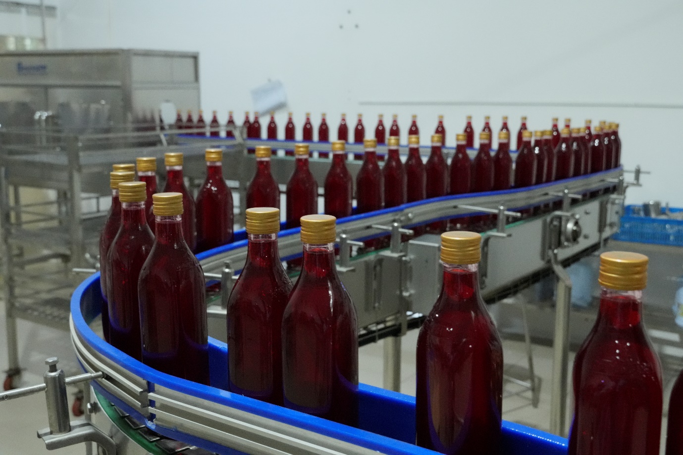 Golden Farm: Giải pháp chuẩn hóa nguyên liệu giúp doanh nghiệp F&B tối ưu vận hành - Ảnh 2.