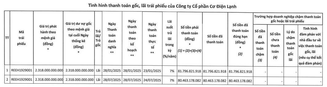 REE thanh toán hơn 163 tỷ đồng lãi cho lô trái phiếu phát hành từ năm 2019 - Ảnh 1.