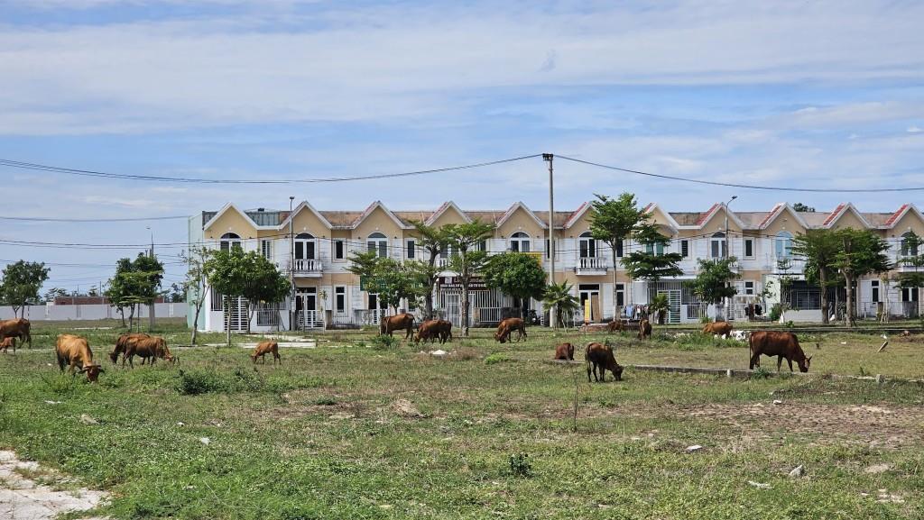 Đà Nẵng điều chỉnh đầu tư Khu đô thị Viêm Minh - Hà Dừa Đến năm 2027 - Ảnh 1.