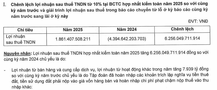 Novaland (NVL) báo lãi hơn 1.800 tỷ, vì sao kiểm toán vẫn lưu ý khả năng hoạt động liên tục?- Ảnh 1.