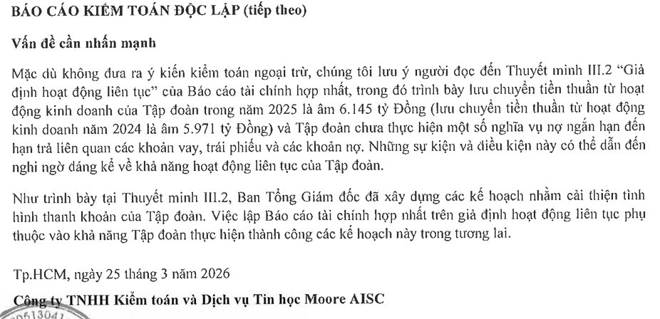 Novaland (NVL) báo lãi hơn 1.800 tỷ, vì sao kiểm toán vẫn lưu ý khả năng hoạt động liên tục?- Ảnh 2.
