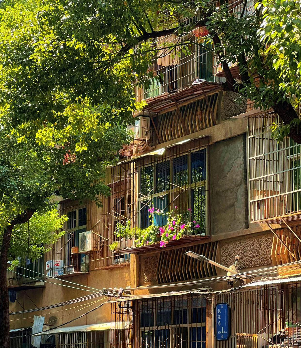 Tôi rời căn hộ 200m² ai cũng khen để về nhà cũ: 6 tháng sau mới hiểu thế nào là sống dễ thở - Ảnh 5.