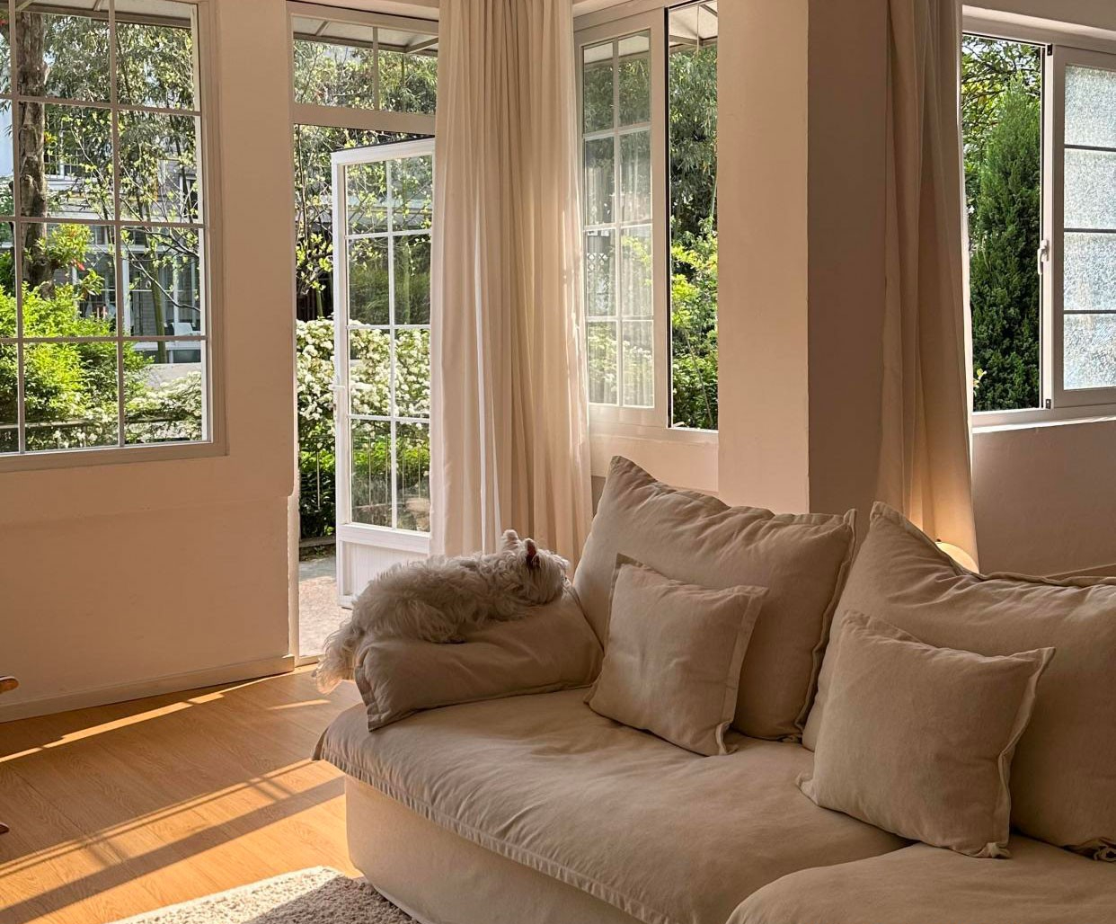 Tôi rời căn hộ 200m² ai cũng khen để về nhà cũ: 6 tháng sau mới hiểu thế nào là sống dễ thở - Ảnh 7.