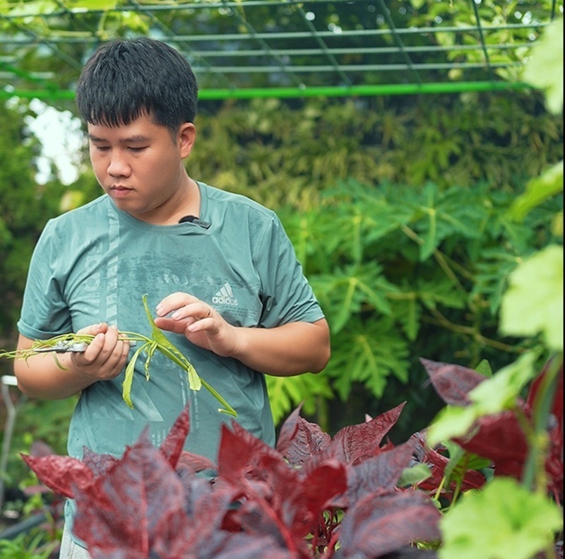 Cận cảnh khu vườn "trong mơ", được đầu tư hơn 3 tỷ đồng trên sân thượng tầng 30 tại Hưng Yên- Ảnh 2.