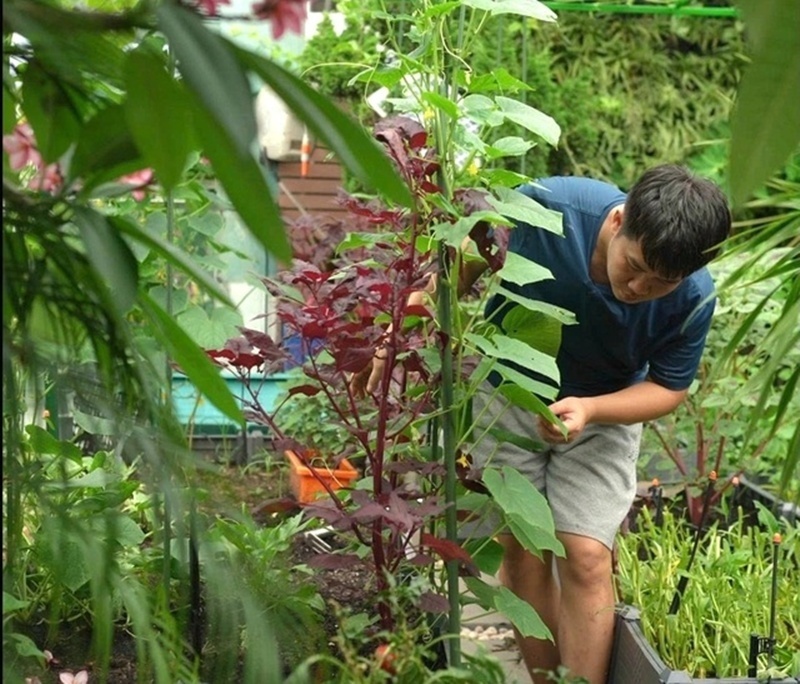 Cận cảnh khu vườn "trong mơ", được đầu tư hơn 3 tỷ đồng trên sân thượng tầng 30 tại Hưng Yên- Ảnh 3.