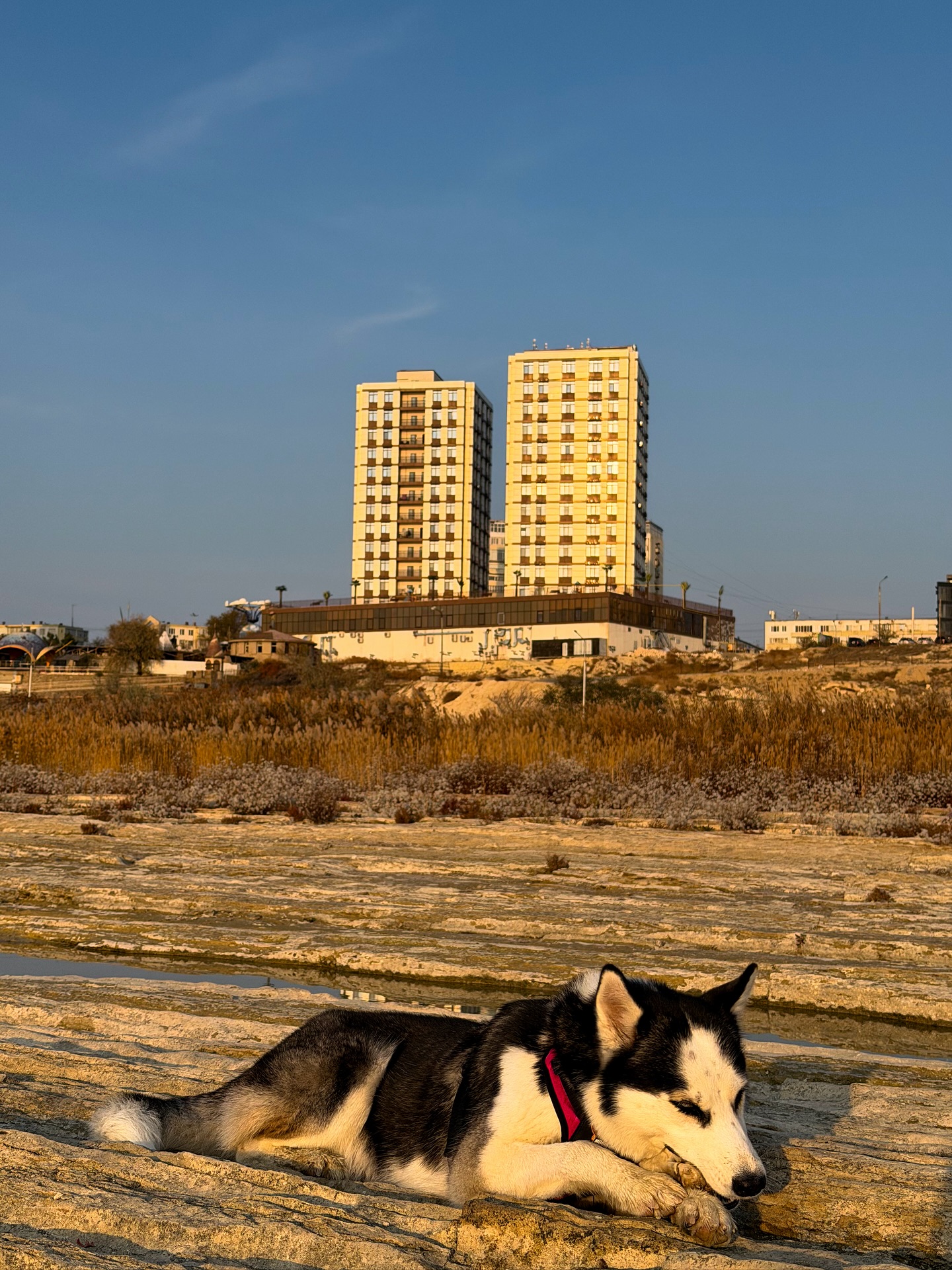 Khách Tây đi bộ xuyên lục địa nổi tiếng thế giới, giữa đường bất ngờ book vé máy bay đến Việt Nam: Lý do cảm động- Ảnh 6.