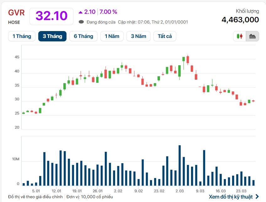 Cổ phiếu GVR “trắng bên bán”, dòng tiền "bắt đáy" kích hoạt cú tăng kịch trần- Ảnh 1.