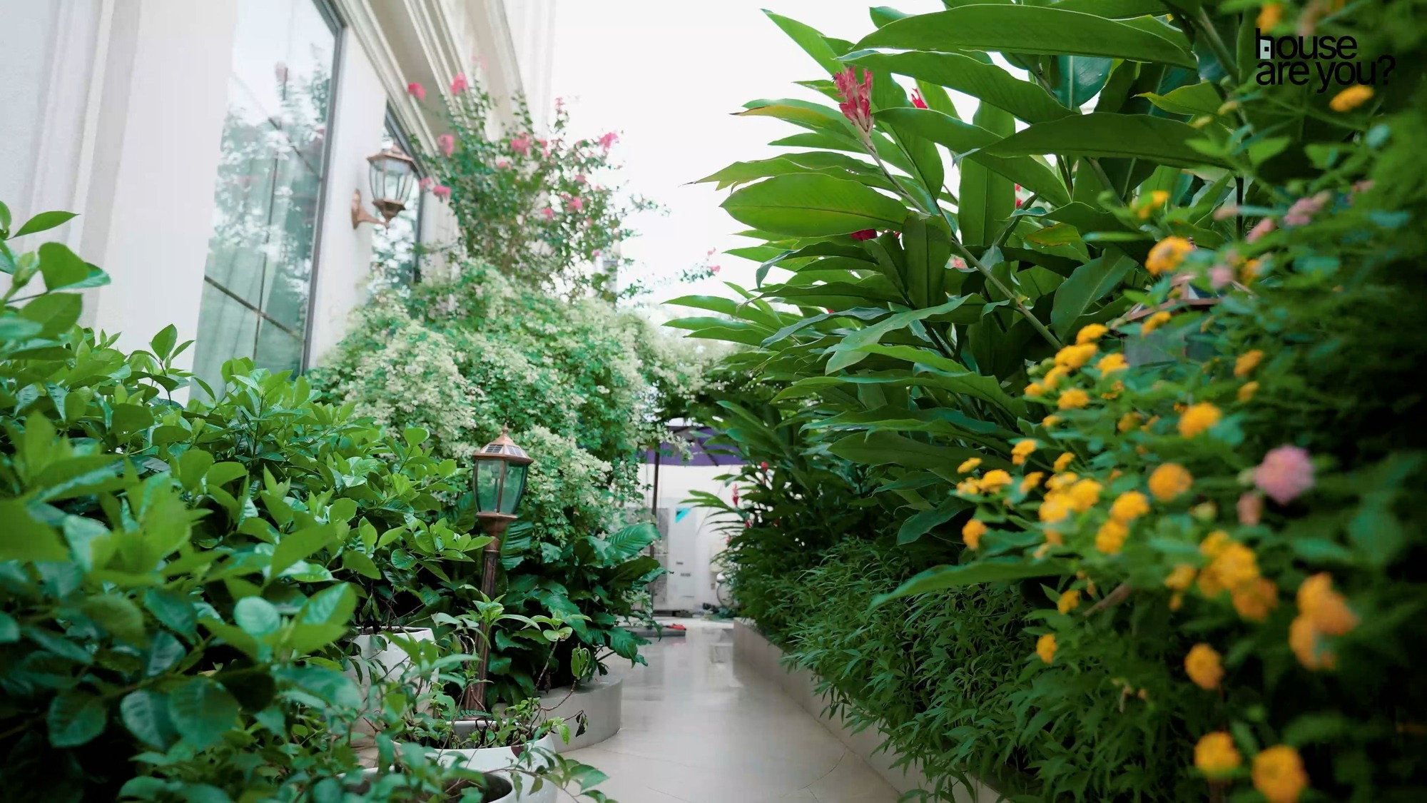 Cuộc sống sang chảnh của hội "phú bà" Vbiz: Huyền Baby ở biệt thự 100 tỷ, Ngọc Thanh Tâm sống trong "cung điện" đập thông 6 căn- Ảnh 19.