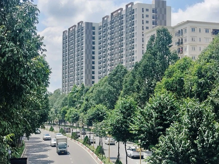 Đồng Nai cảnh báo không mua nhà ở xã hội qua cò mồi , suất ngọai giao - Ảnh 1.