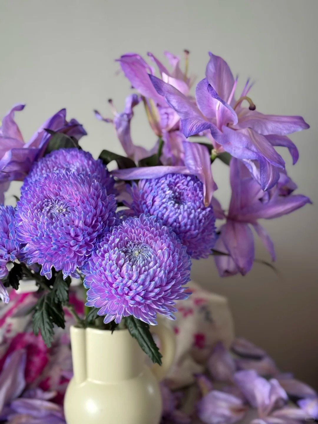 Say đắm cúc mẫu đơn tím nhưng sợ cắm lên bị già? Đừng vội mua nếu chưa biết bí mật về "mùa hoa đẹp nhất" này!- Ảnh 18.