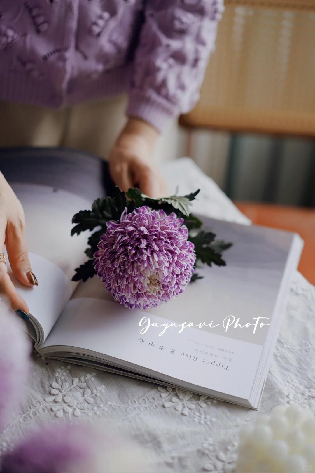 Say đắm cúc mẫu đơn tím nhưng sợ cắm lên bị già? Đừng vội mua nếu chưa biết bí mật về "mùa hoa đẹp nhất" này!- Ảnh 10.