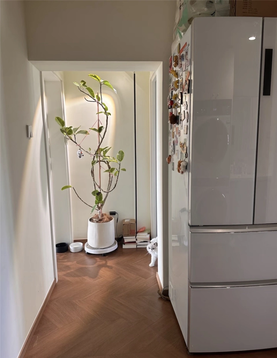 1 thanh niên cải tạo căn hộ "cán dao" thành tổ ấm nghệ như ảnh Pinterest, góc nào cũng đáng ngắm- Ảnh 5.