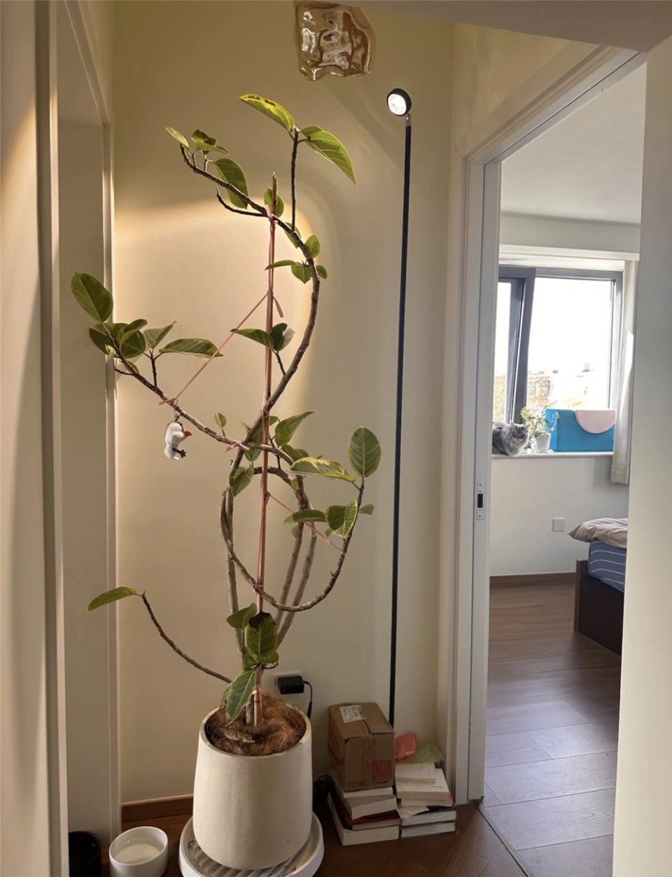 1 thanh niên cải tạo căn hộ "cán dao" thành tổ ấm nghệ như ảnh Pinterest, góc nào cũng đáng ngắm- Ảnh 6.