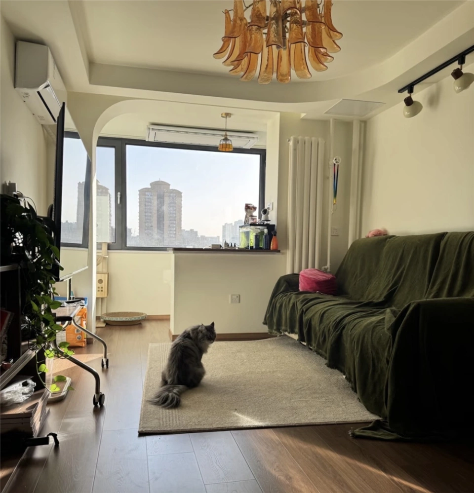 1 thanh niên cải tạo căn hộ "cán dao" thành tổ ấm nghệ như ảnh Pinterest, góc nào cũng đáng ngắm- Ảnh 8.