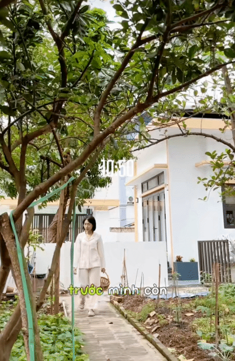 Phụ nữ độc thân tuổi 40: Rời Hà Nội về quê, tự chủ kinh tế, chi 820 triệu xây nhà nhỏ an yên giữa sân vườn- Ảnh 1.