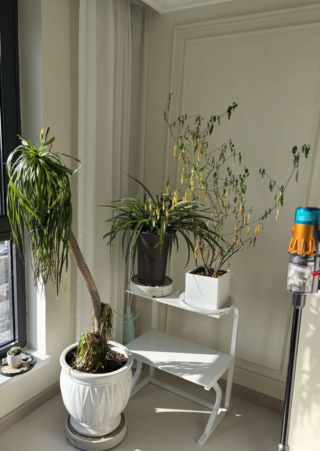  Dứt khoát vứt 5 "đống rác" trong nhà, cuộc sống tự khắc hanh thông, nhìn đâu cũng thấy cơ hội- Ảnh 5.