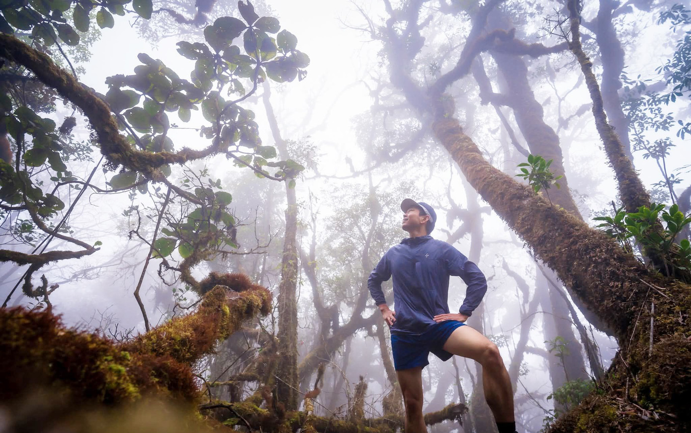 Mục sở thị khu rừng nguyên sinh 'độc nhất vô nhị' ở Sơn La- Ảnh 2.