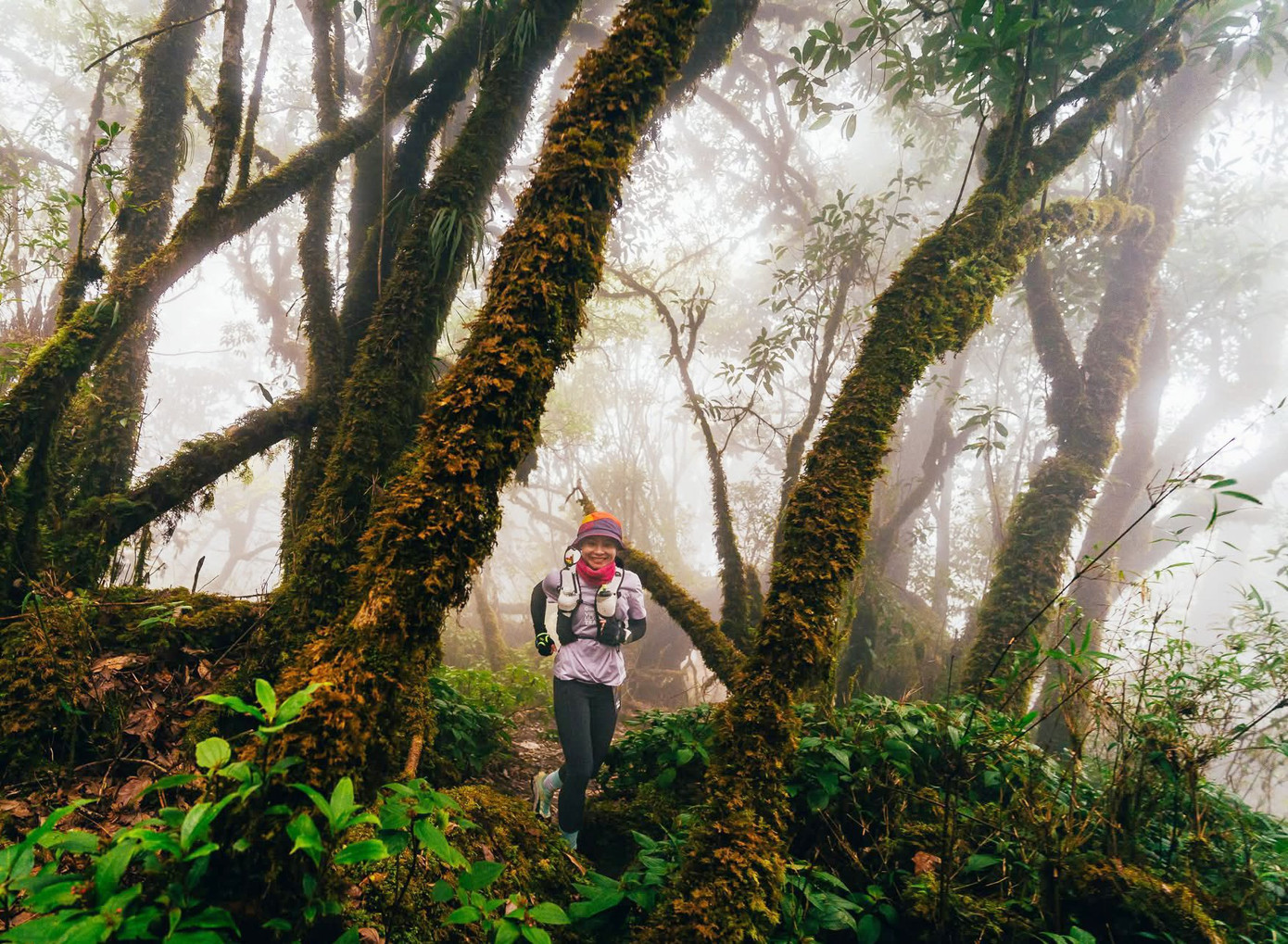 Mục sở thị khu rừng nguyên sinh 'độc nhất vô nhị' ở Sơn La- Ảnh 1.