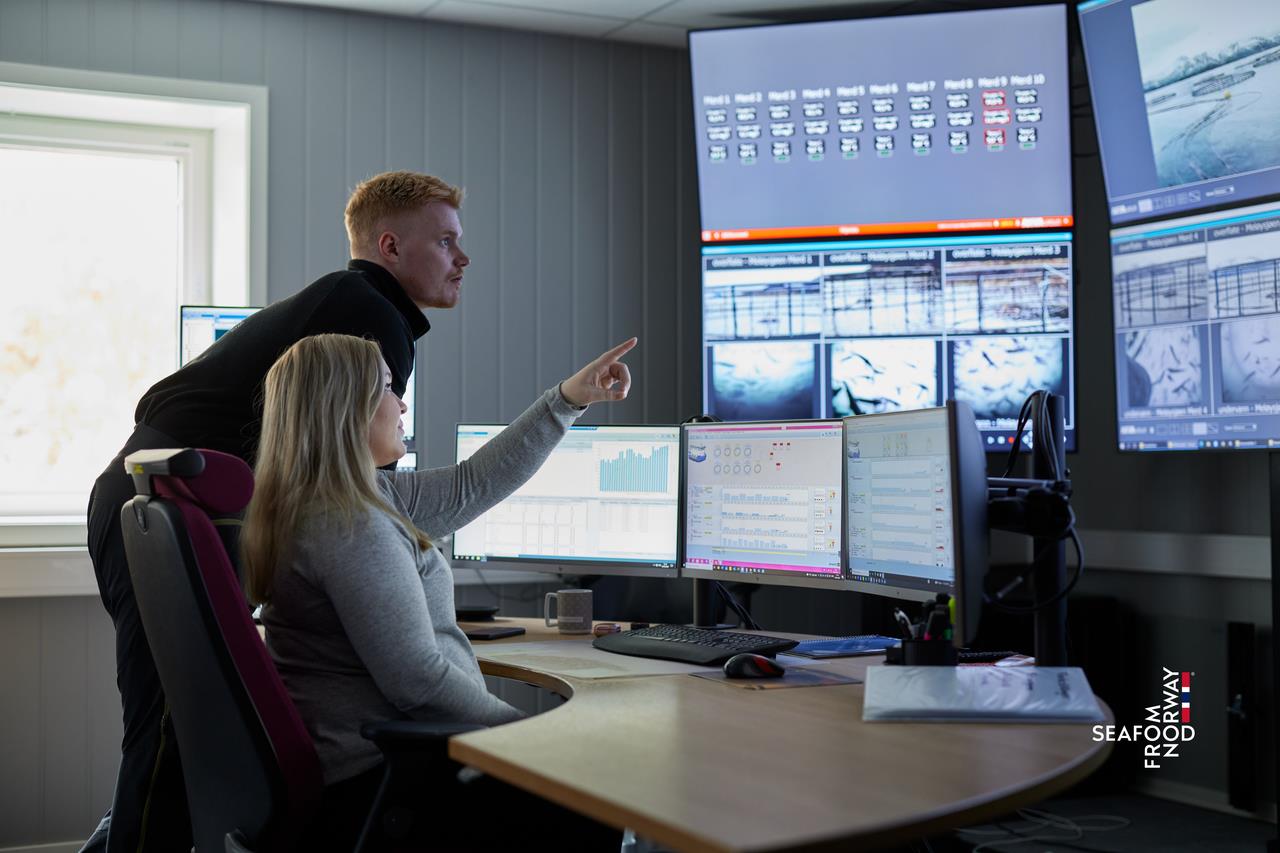 Bí quyết đứng sau vị thế hàng đầu của ngành cá hồi Na Uy - Ảnh 1.