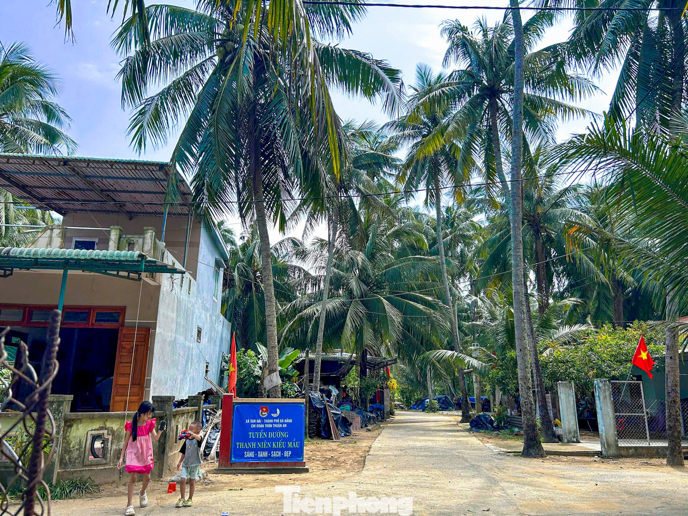 Thích mê rừng dừa xanh mướt nơi xã đảo Tam Hải- Ảnh 2.