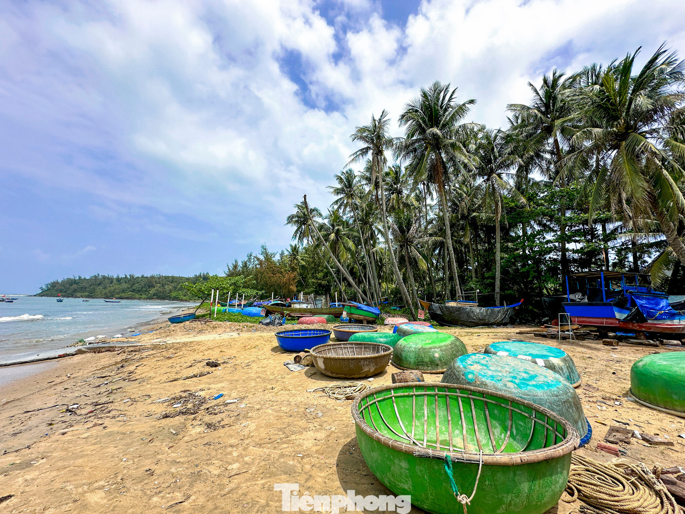 Thích mê rừng dừa xanh mướt nơi xã đảo Tam Hải- Ảnh 5.