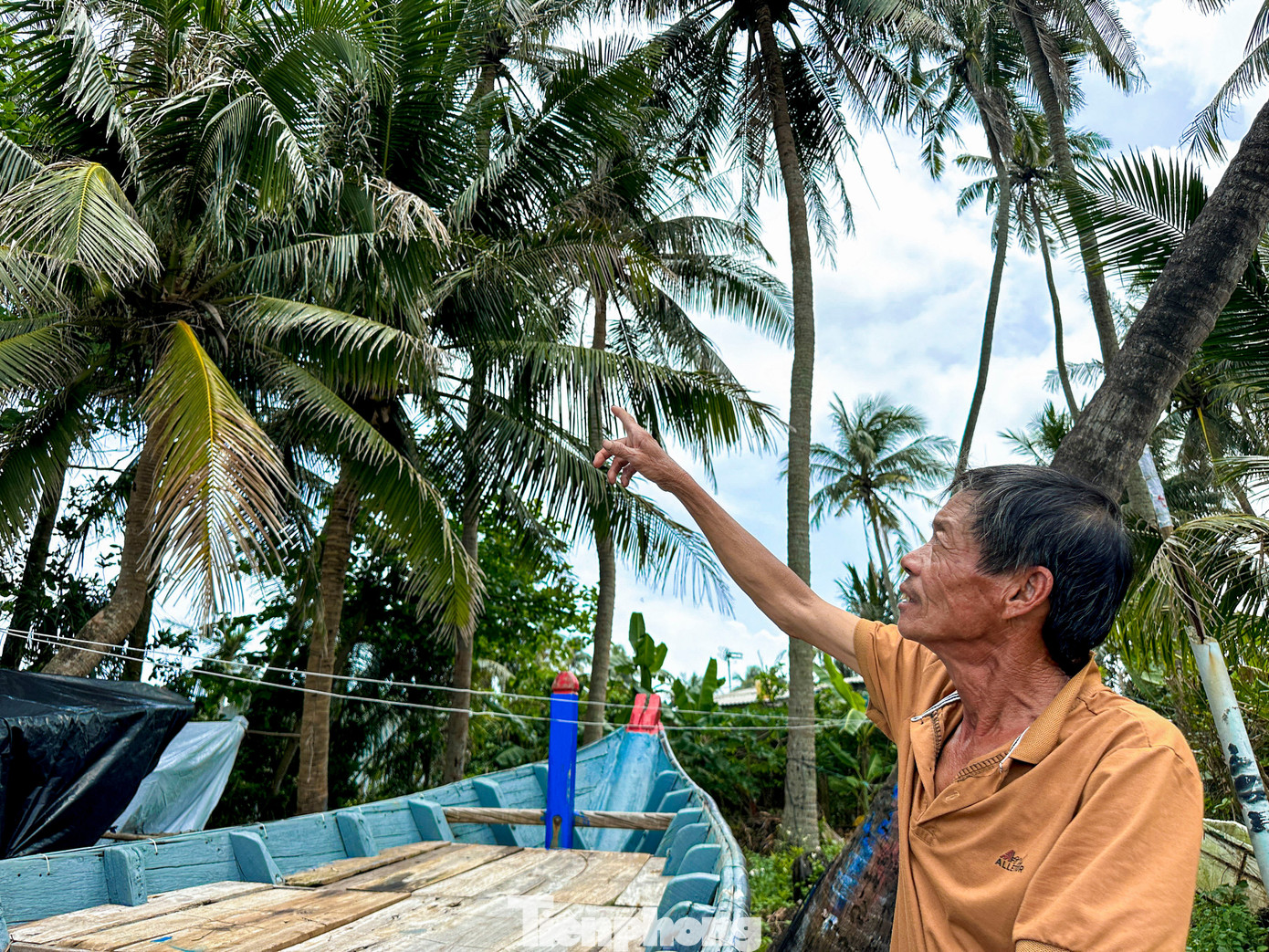Thích mê rừng dừa xanh mướt nơi xã đảo Tam Hải- Ảnh 4.