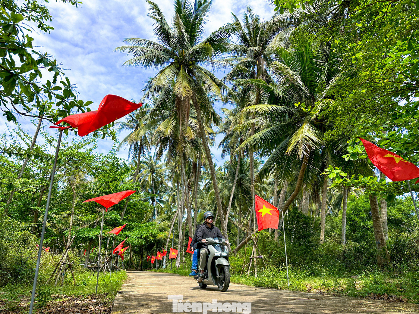 Thích mê rừng dừa xanh mướt nơi xã đảo Tam Hải- Ảnh 7.